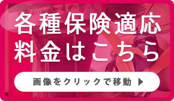 各種保険適応料金