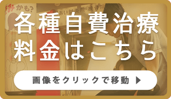 各種自費治療料金